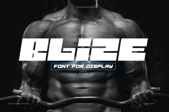 Blize: Strategic Typography for Modern Brand Positioning